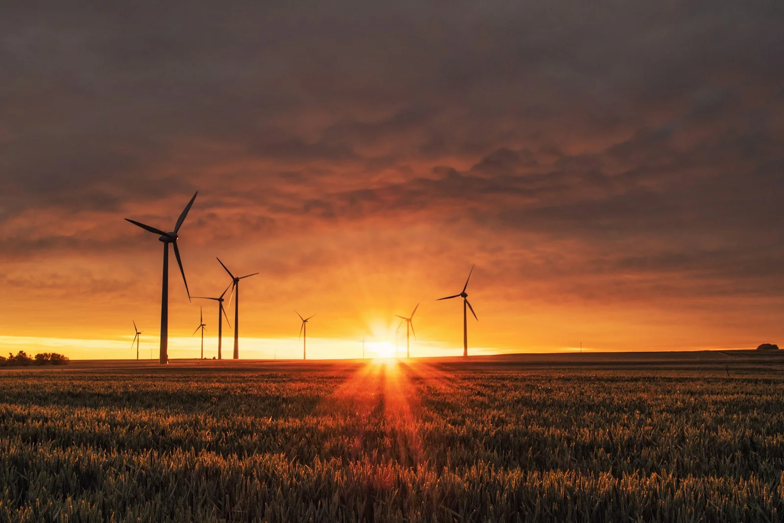 Sustainability-related